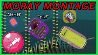 Moray is the Best Hit and Run Animal in Deeeep.io - eat fish, become the shark!