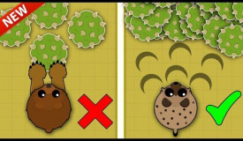 MOPE.IO / NEW BEST WAY TO FARM XP & LEVEL UP FAST! / NEW XP GLITCH & XP BEST METHODS!