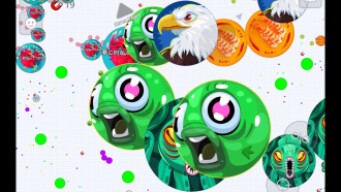 WHY I NEVER GIVE UP AGAR.IO