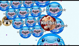 INSANE AGARIO SOLO FIGHTS ( Agar.io Solo Gameplay )