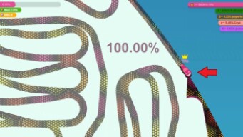 Paper.io 10 [Slither] Map Control: 100.00%
