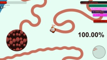 Paper.io 2 [Joker] Map Control: 100.00%