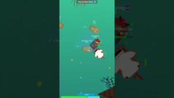 SEA LIONS DOMINATE #shorts #deeeepio