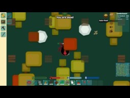 The North Star and more Starve.io Experience