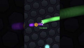 Slither.io Direct Encounter