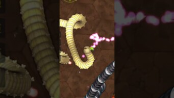 little big snake | io game