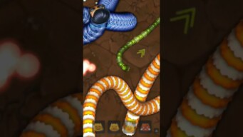 op 5 kill snake #little big snake #
