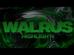 Zombs Royale Highlights 4 | Walrus